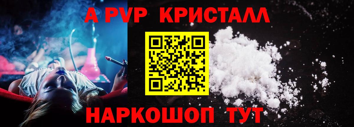 Альфа ПВП СК КРИС Карачаевск