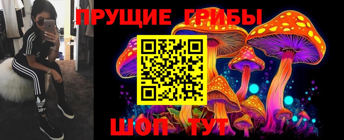 Псилоцибиновые грибы мицелий  Вход с VPN  Карачаевск 